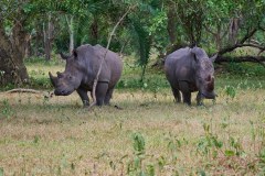 TanzanieUganda_0272_web