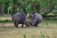 TanzanieUganda_0273_web