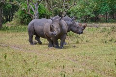 TanzanieUganda_0274_web