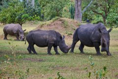 TanzanieUganda_0275_web