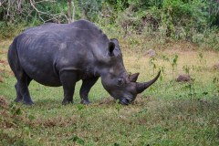 TanzanieUganda_0277_web