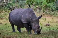 TanzanieUganda_0278_web