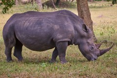 TanzanieUganda_0280_web