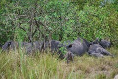 TanzanieUganda_0281_web