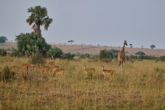 TanzanieUganda_0291_web
