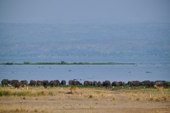TanzanieUganda_0292_web