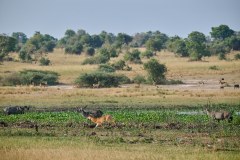 TanzanieUganda_0293_web