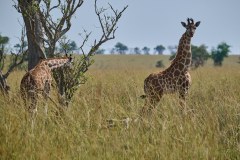 TanzanieUganda_0294_web