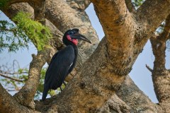 TanzanieUganda_0295_web