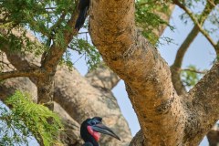 TanzanieUganda_0296_web