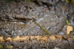 TanzanieUganda_0299_web