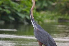 TanzanieUganda_0300_web
