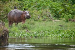 TanzanieUganda_0301_web