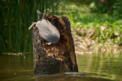 TanzanieUganda_0302_web