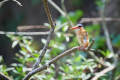 TanzanieUganda_0303_web