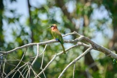 TanzanieUganda_0304_web