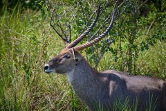 TanzanieUganda_0305_web