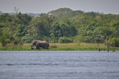 TanzanieUganda_0306_web