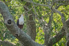 TanzanieUganda_0308_web