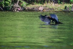 TanzanieUganda_0311_web
