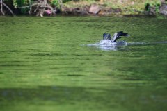 TanzanieUganda_0312_web