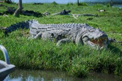 TanzanieUganda_0314_web