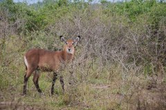 TanzanieUganda_0323_web