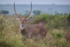 TanzanieUganda_0324_web