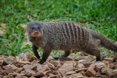 TanzanieUganda_0325_web