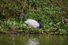 TanzanieUganda_0326_web