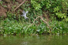 TanzanieUganda_0327_web