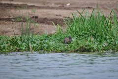 TanzanieUganda_0328_web