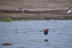 TanzanieUganda_0329_web