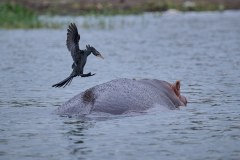 TanzanieUganda_0330_web