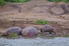 TanzanieUganda_0331_web