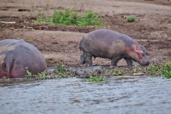 TanzanieUganda_0332_web