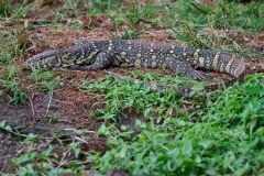 TanzanieUganda_0333_web
