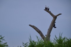 TanzanieUganda_0334_web