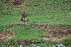 TanzanieUganda_0335_web