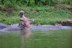 TanzanieUganda_0336_web
