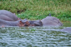 TanzanieUganda_0337_web