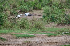 TanzanieUganda_0340_web