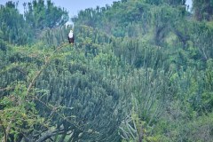 TanzanieUganda_0341_web