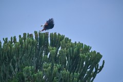 TanzanieUganda_0342_web