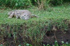 TanzanieUganda_0343_web