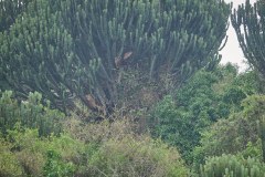 TanzanieUganda_0344_web