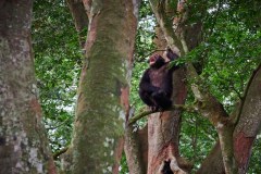 TanzanieUganda_0349_web