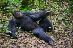TanzanieUganda_0351_web