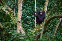 TanzanieUganda_0352_web