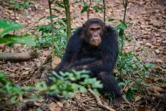TanzanieUganda_0353_web